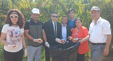 Kaymakam Emrah Bütün, “Akdeniz Meyve Sineği Mücadelesi Kültürel Tedbirleri” etkinliğine katıldı