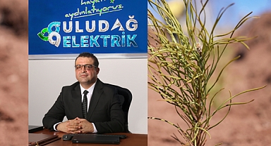 Uludağ Elektrik’ten geleceğe yeşil miras: Elektronik fatura ile doğaya destek