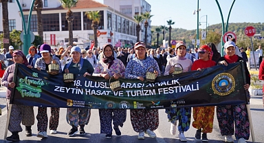 19. Uluslararası Ayvalık Zeytin Hasat ve Turizm Festivali başlıyor