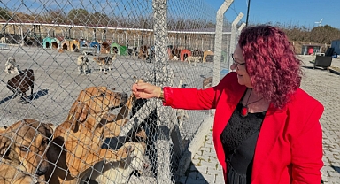 Ayşe Korucuoğlu'ndan tesis ziyaretleri