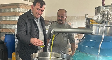 Başkan Atalay’dan zeytin hasadı ziyaretleri