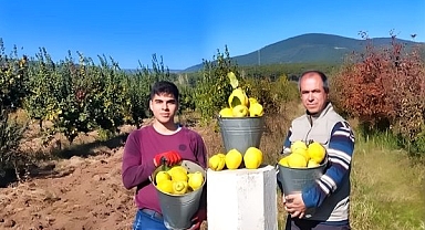 Bayramiç Ayvasına Şiirli Kutlama