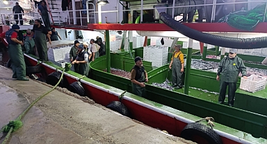 Biga’da Hamsi Kotası Uygulaması denetimleri sürüyor