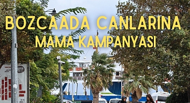 Bozcaada’da sokak hayvanları için mama kampanyası