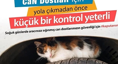 Çanakkale Belediyesi Veteriner İşleri'nden önemli uyarı