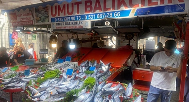 CUMPA güncel balık fiyatları