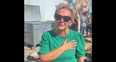 Gebze Hayvan Barınağı'nda katliam!