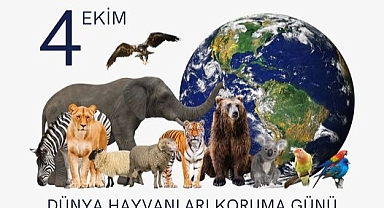 Gökçeada Belediyesi'nden 4 Ekim Dünya Hayvanları Koruma Günü mesajı