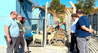 Lapseki Belediyesi’nden Hayvanları Koruma Günü etkinliği