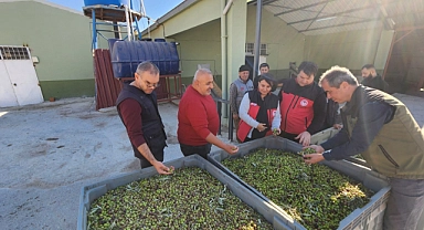 Pıtıreli Köyü'nde zeytin hasadı ziyareti