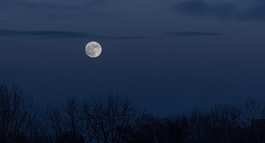 15 Kasım Boğa Burcunda Dolunay: Değişim ve Denge Zamanı