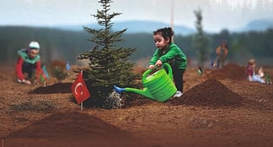Ayvacık Kaymakamlığı'ndan fidan dikim etkinliği duyurusu