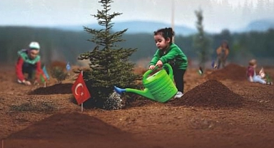 Ayvacık Kaymakamlığı'ndan fidan dikim etkinliği duyurusu