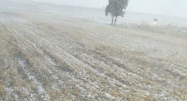 Biga Sivil Toplum Platformu, afet bölgesi ilanı ve acil destek talebinde bulundu