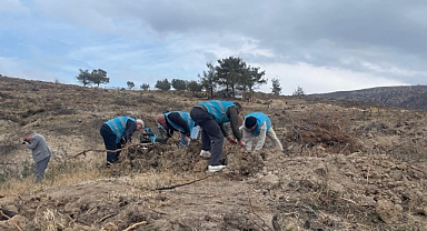 Çanakkale’de hükümlülerle fidan dikim etkinliği