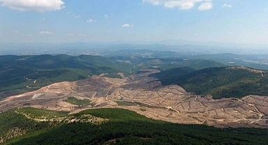 Çanakkale’de ormanlara giriş yasağı uzatıldı