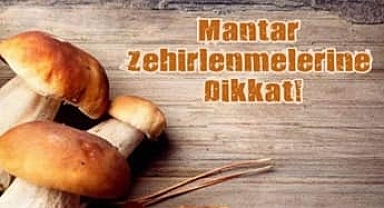 Çanakkale İl Sağlık Müdürlüğü'nden mantar zehirlenmelerine karşı uyarı