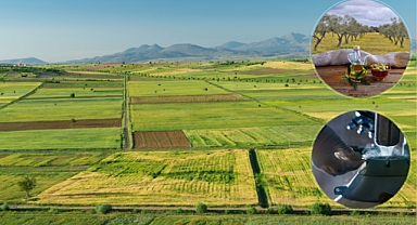 Çiftçilere 252 Milyon TL’lik destek ödemesi hesaplara aktarılıyor