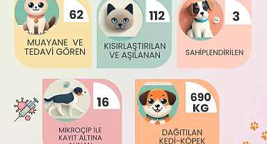 Gökçeada’da Ekim ayında 690 kg mama dağıtıldı