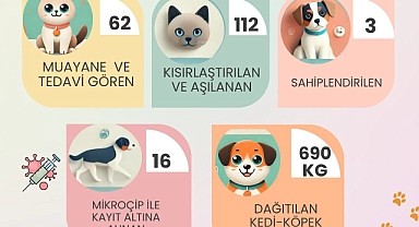 Gökçeada’da Ekim ayında 690 kg mama dağıtıldı