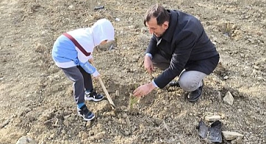 Gökçeada'da fidanlar toprakla buluştu