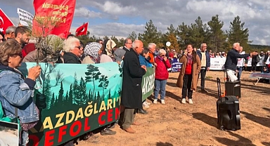 Kazdağları için acil çağrı: