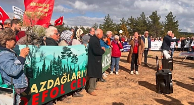 Kazdağları için acil çağrı: "Ağaç Kesimini Bırak, İş Makinelerini Çek!"