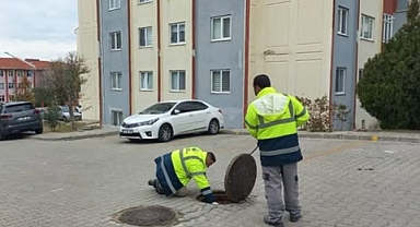 Kepez'de haşere ilaçlama çalışmaları sürüyor