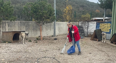 Küçükkuyu'da çalışmalar devam ediyor
