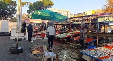 Palamut fiyatları şaşırtıyor
