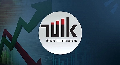 Pasaport çıkartmak hayal oldu!