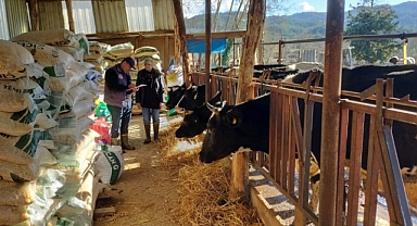 Yeniceli kadın çiftçiler, kırsal kalkınmaya katkı sağlıyor
