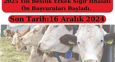 2025 yılı besilik erkek sığır ithalatı için ön başvurular başladı
