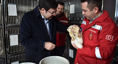 Başkan Erkek Sokak Hayvanları Bakım ve Rehabilitasyon Merkezi'ni ziyaret etti