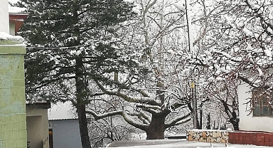 Bayramiç’te yılın ilk kar yağışı sevindirdi