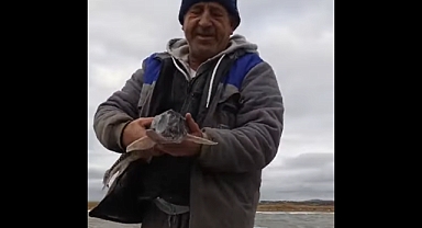 Çanakkale Tarım ve Orman Müdürlüğü'nden balıkçılara teşekkür