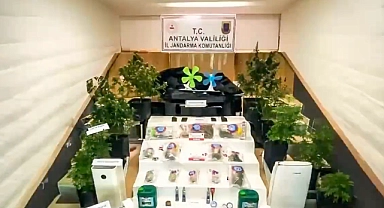 Kasım ayında 6 ayrı organize suç örgütüne yönelik "KUYU" operasyonlarında 46 yakalama