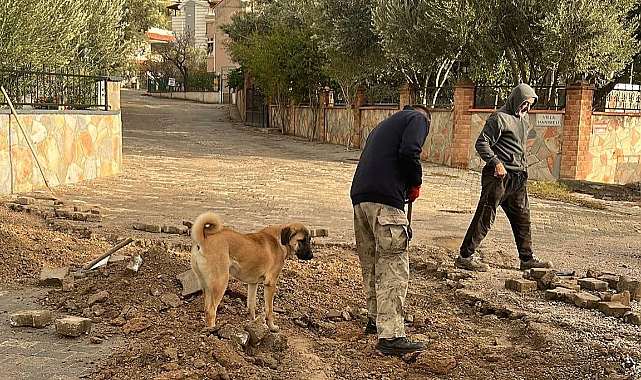 Küçükkuyu Belediyesi’nden yoğun çalışma