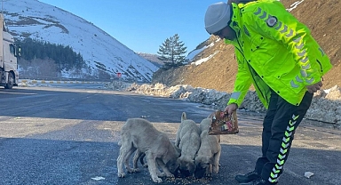 Polis ekipleri sokak hayvanlarını unutmadı