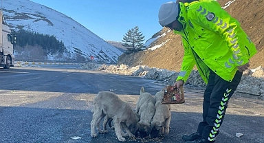 Polis ekipleri sokak hayvanlarını unutmadı