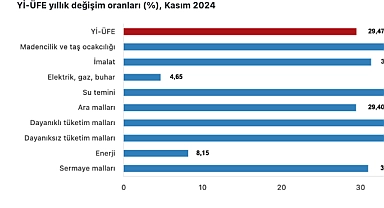 TÜİK verilerine göre Kasım 2024 yurt içi üretici fiyat endeksi açıklandı