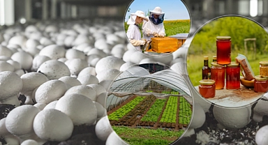 Tarım ve Orman Bakanlığı’ndan 100 projeye 461 milyon lira hibe desteği