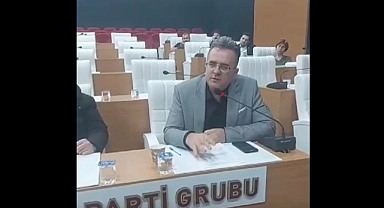 Yanmış orman alanlarına zeytin dikelim