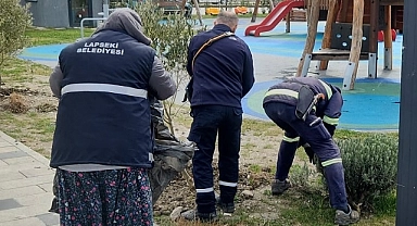 Lapseki'de çalışmalar aralıksız sürüyor
