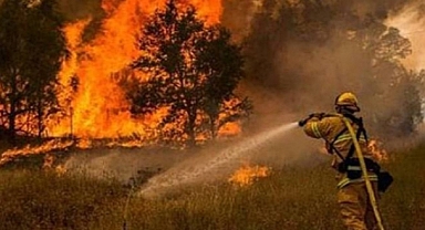 Tarım ve Orman Bakanlığı 8.500 personel alacak. Başvuru şartları neler?