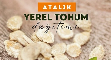 Bozcaada Belediyesi’nden atalık tohum desteği