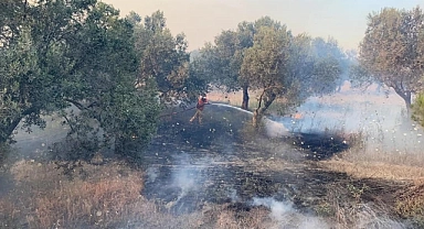 Çanakkale’de orman yangınlarına karşı uyarı!