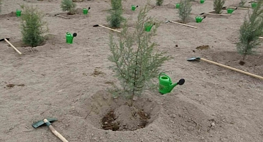 Çanakkale’de son 2 yılda yanan ormanlar yeniden yeşertildi