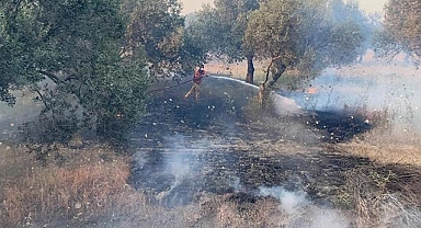 Çanakkale İl Tarım ve Orman Müdürlüğü’nden Orman Yangınına Karşı Uyarı