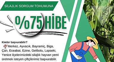 Çanakkaleli çiftçilere büyük fırsat: %75 hibeli silajlık sorgum tohumu desteği!